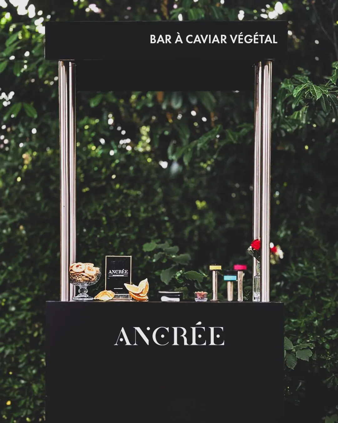 You are currently viewing Du caviar végétal pour sublimer vos événements